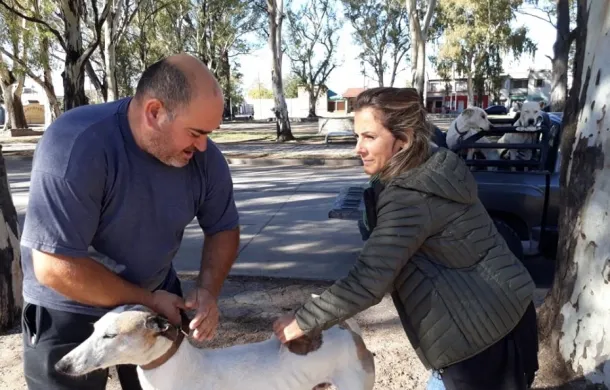 desparasitacion mascotas