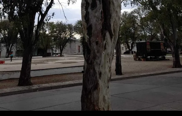 plaza villarino