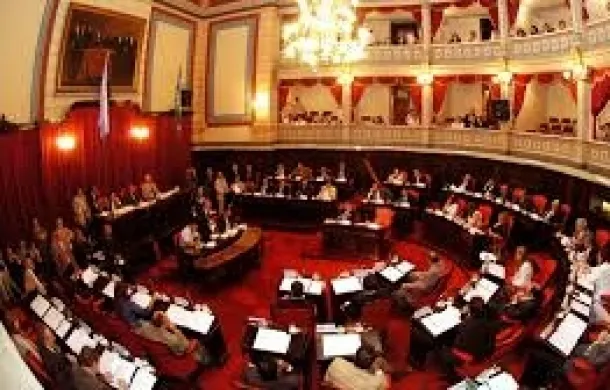 senado