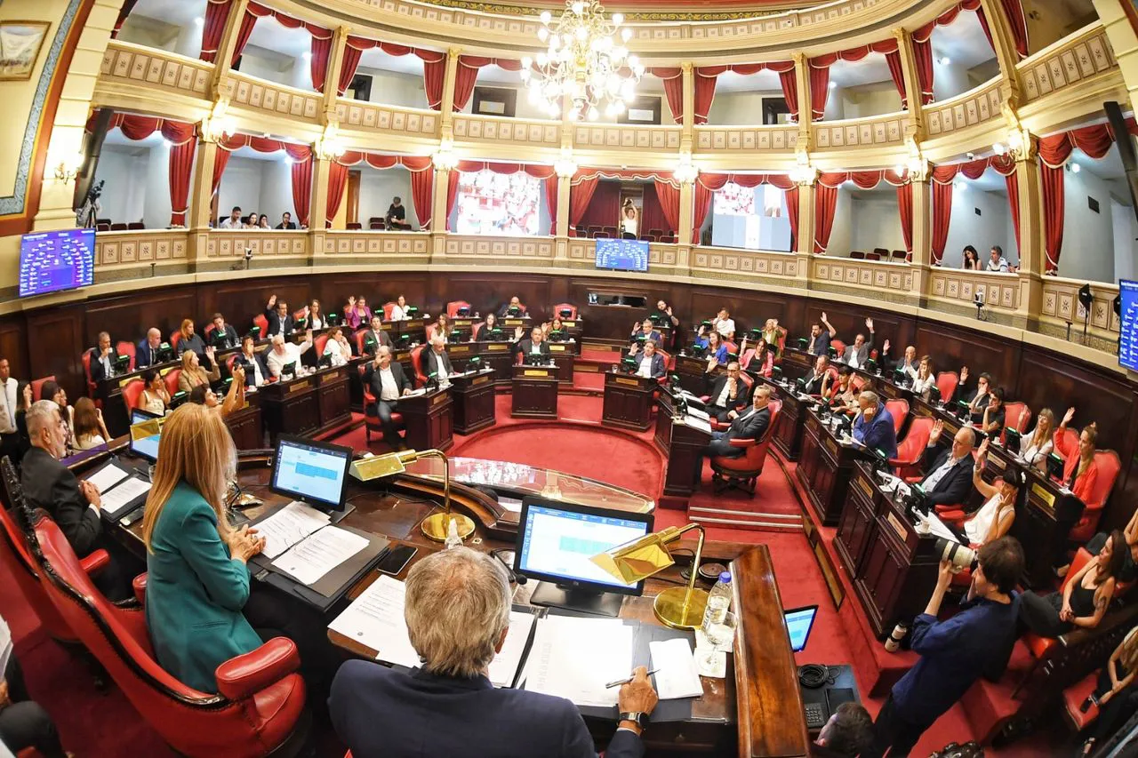 SENADO