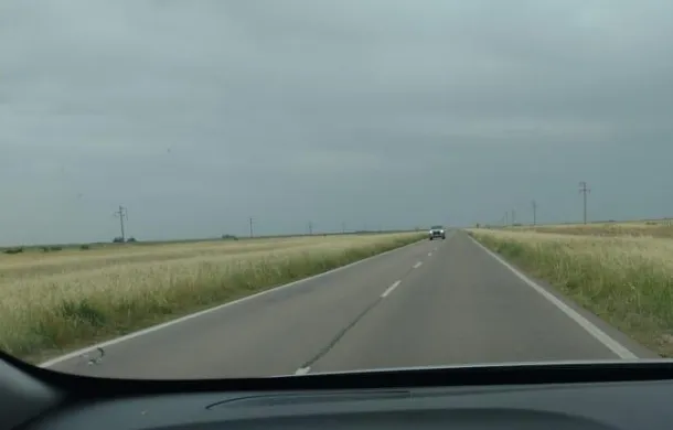 malezas ruta 3 pradere patagones