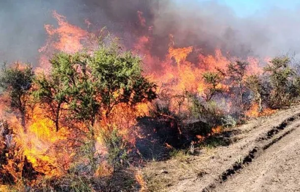 la baliza campos incendio