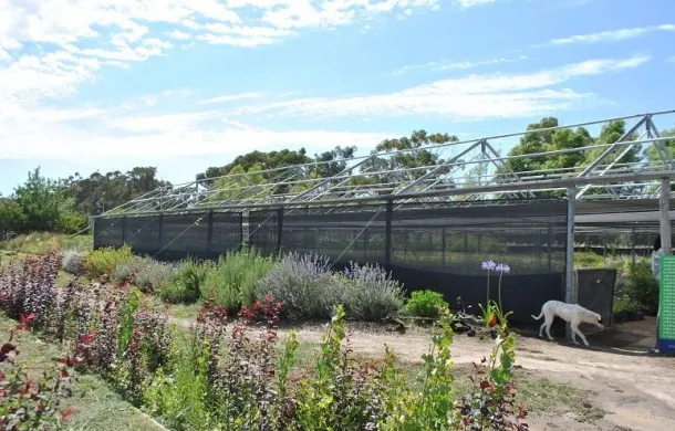 vivero