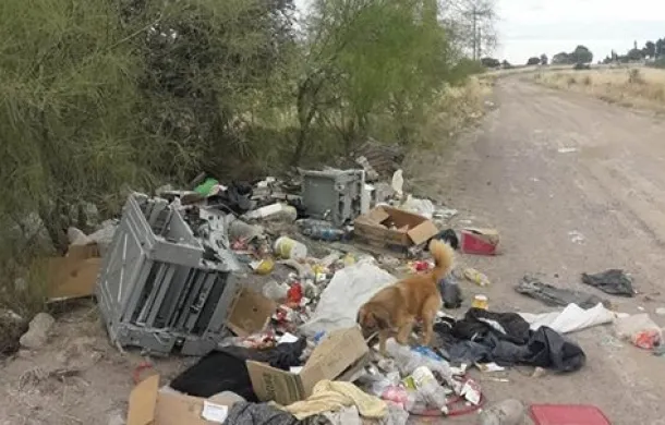 residuos basura