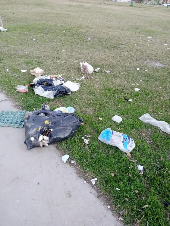 imagen_2025-05-12_102345537