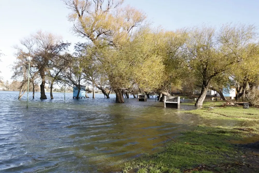 imagen_2025-06-23_112135878