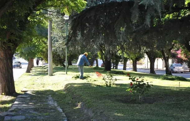 espacios verdes