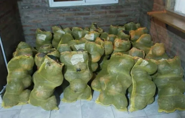 decomiso zapallos