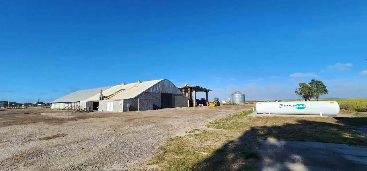 planta procesadora de sal