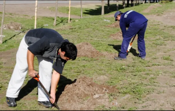forestación av constitución