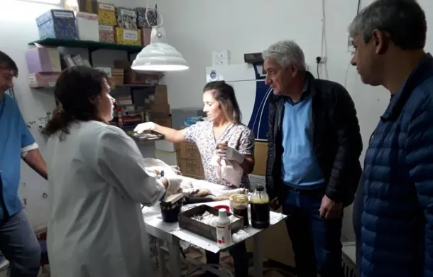 jornada castracion