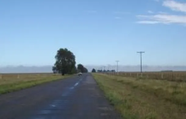 ruta stroeder pedro luro