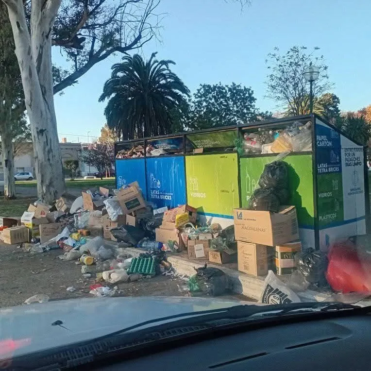 imagen_2025-05-12_103952882