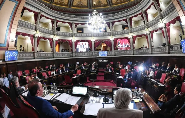 senado