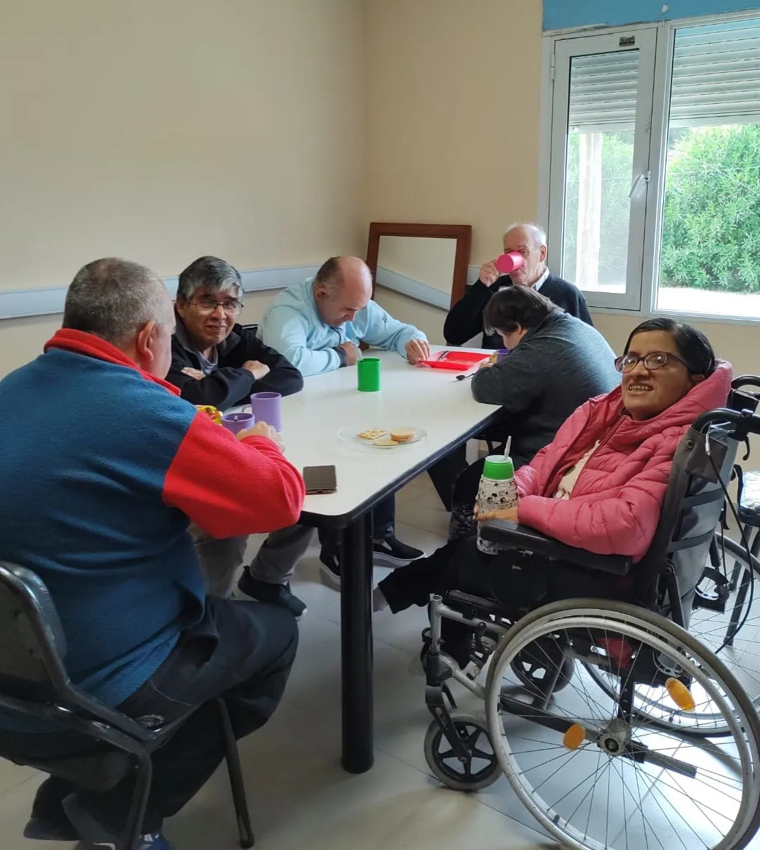 TAPROVI TALLER PROTEGIDO DE VILLALONGA