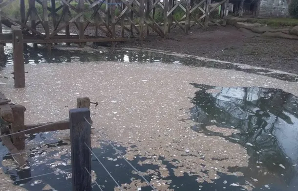 desechos muelle