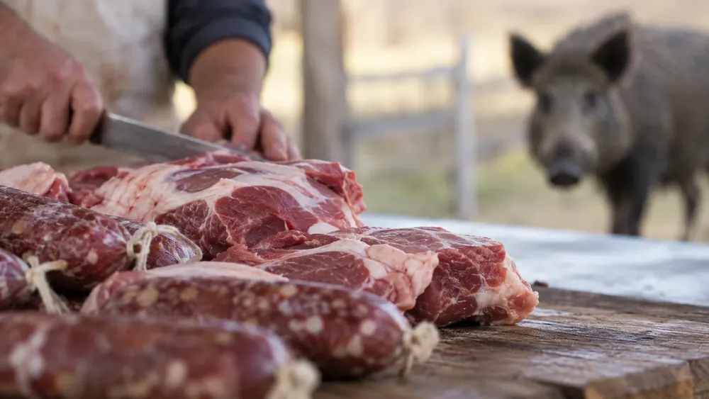 carne triquinosis