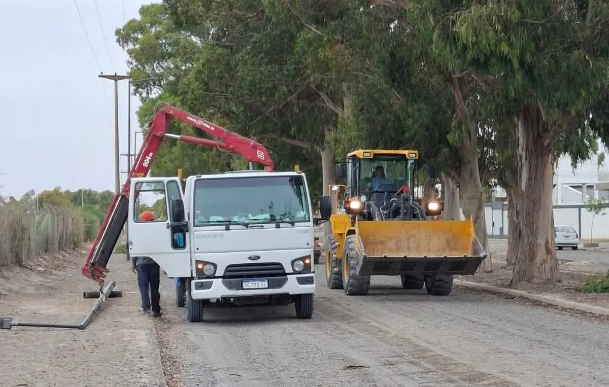 imagen_2025-11-27_173554472