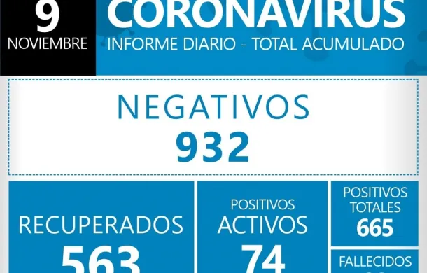 covid-19 coronavirus pandemia patagones informe oficial