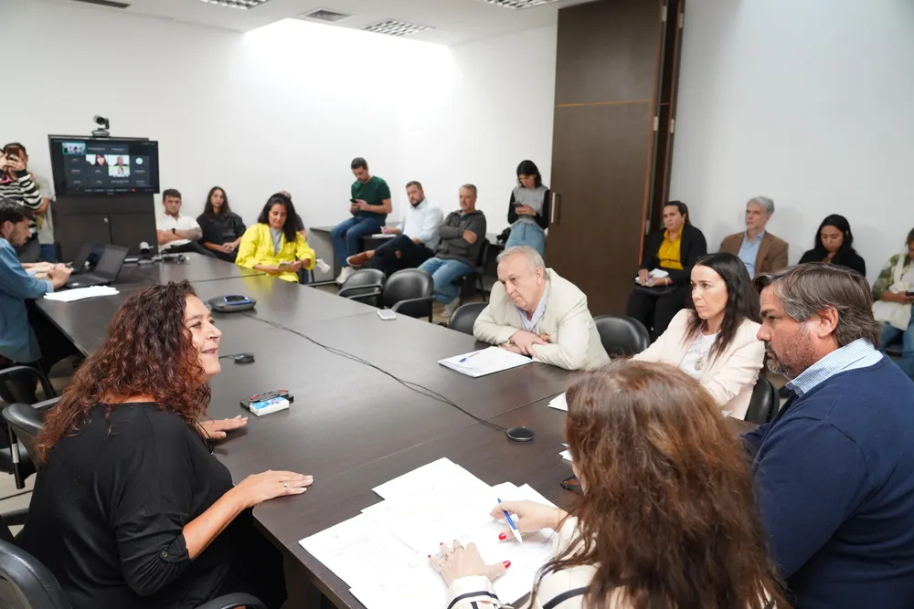 comision, camara de diputados