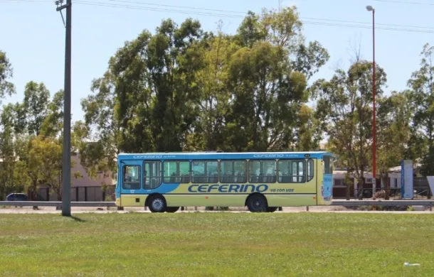 colectivo ceferino
