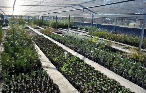 vivero municipal