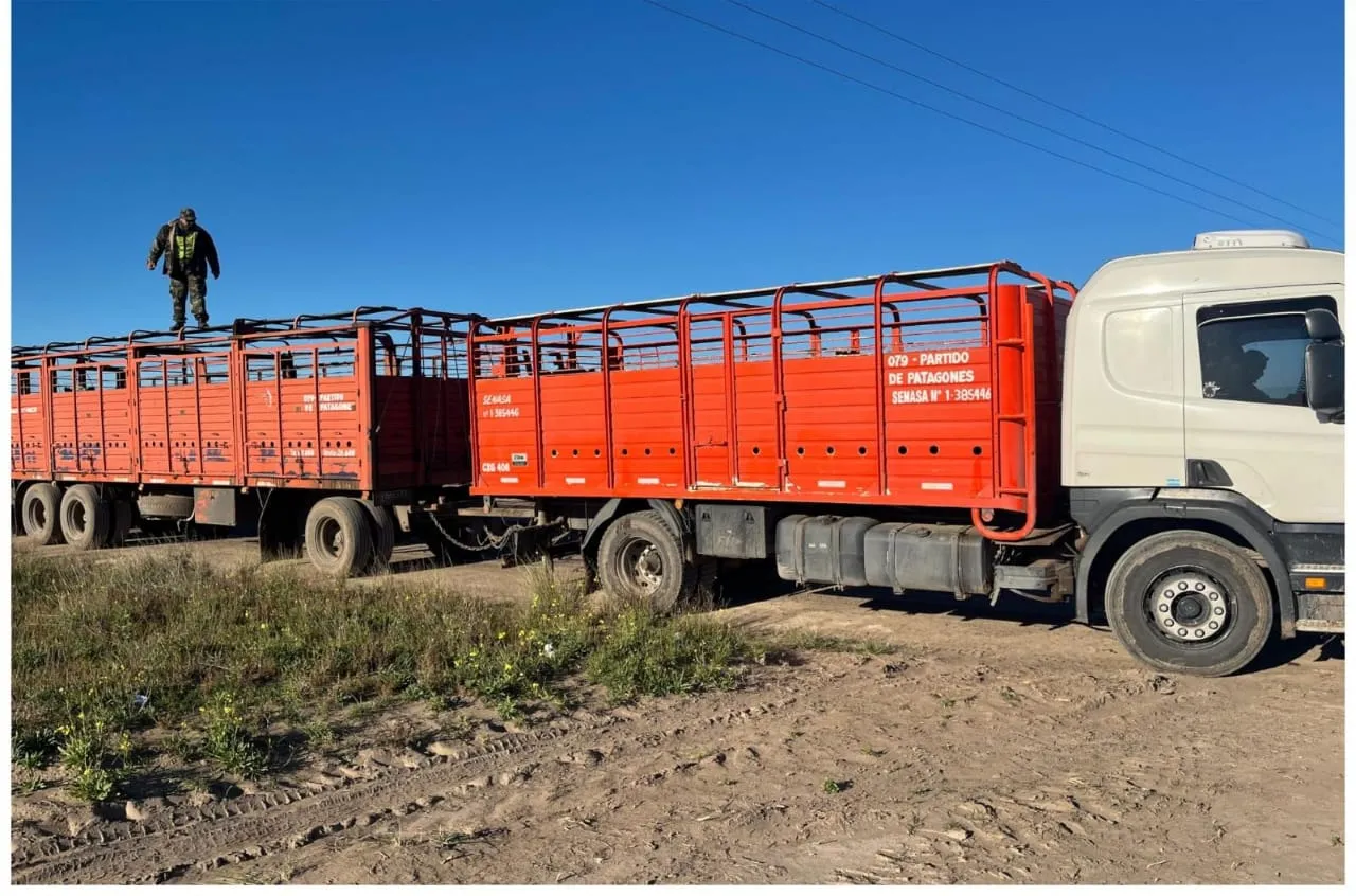 imagen_2025-06-12_194954831