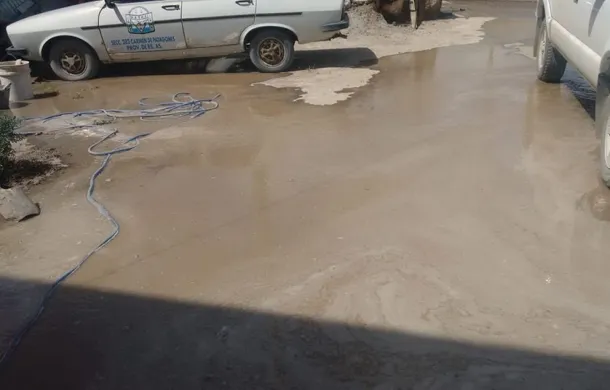 forestación agua