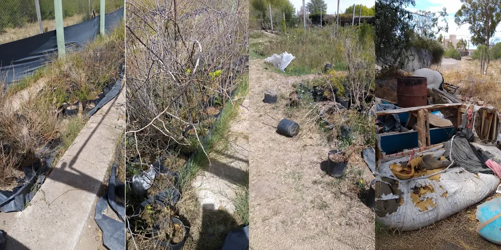 VIVERO MUNICIPAL