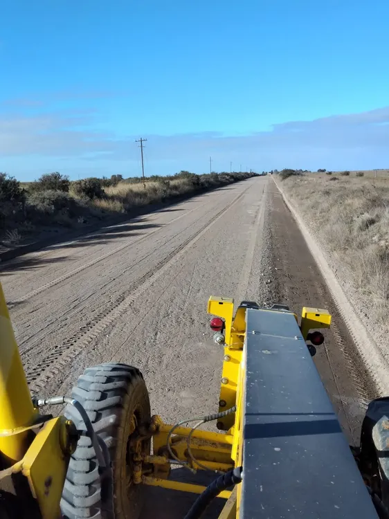 camino stroeder