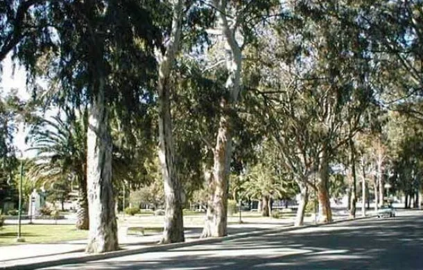 plaza villarino