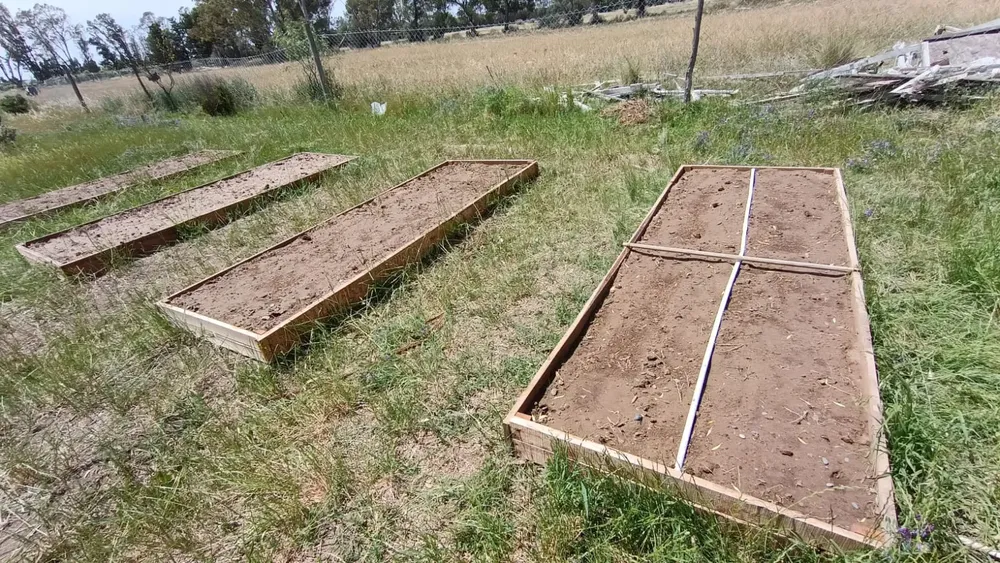 imagen_2024-11-06_151610208