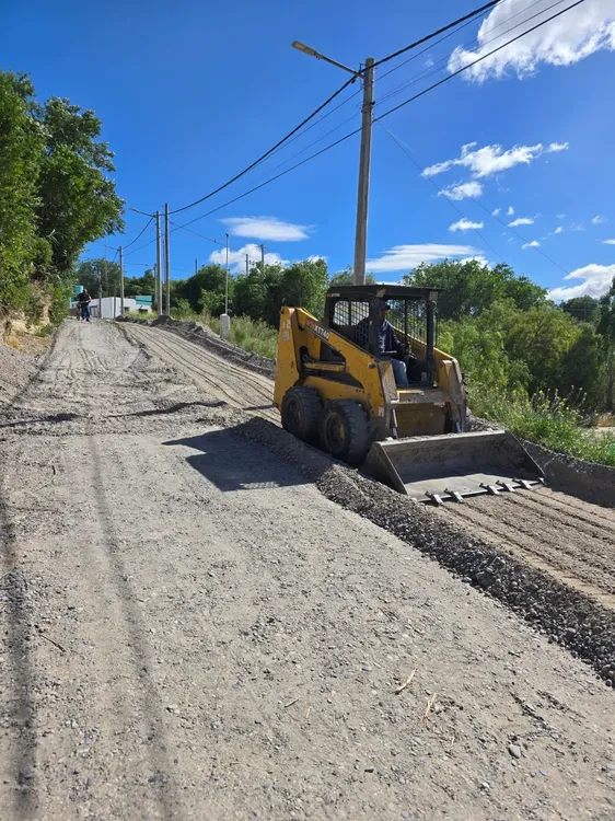 imagen_2025-12-15_202845574