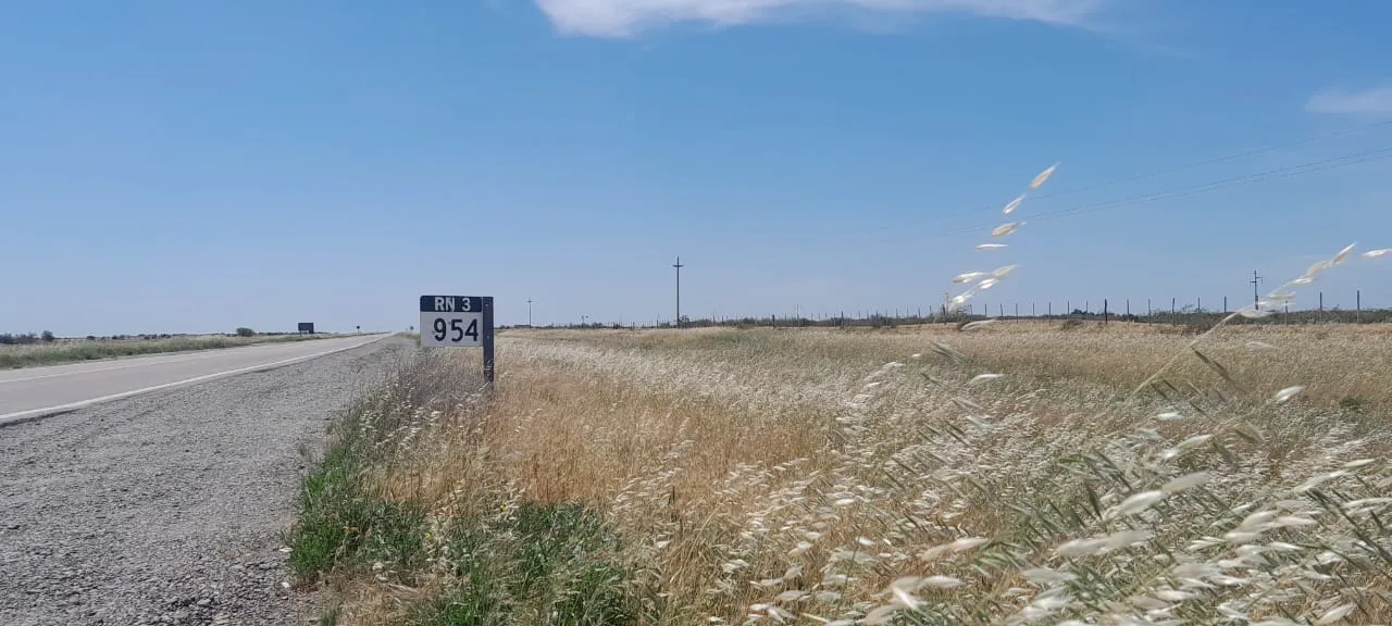 RUTA 3